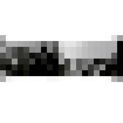 Негативы. Фотонегатив. Заслуженные тренеры РСФСР М. И. Боргояков, В. И. Чарков (справа)