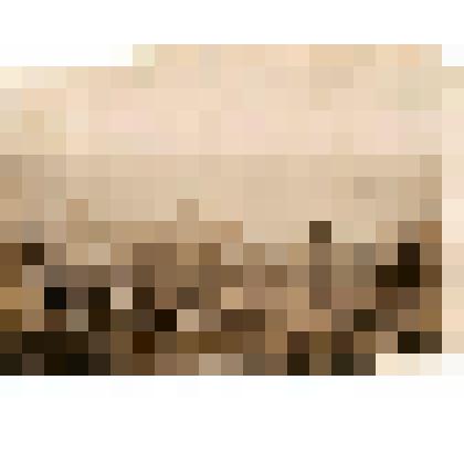 Фотография. Снаряжающийся караван