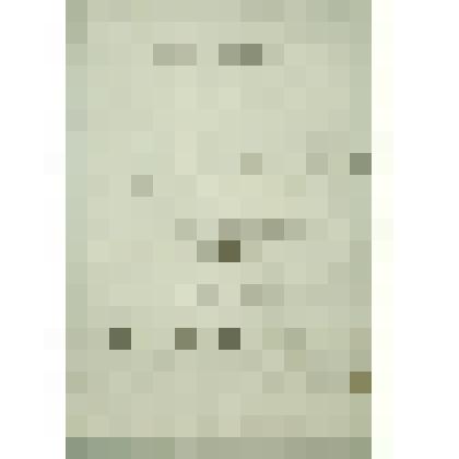 Дело Сиротского суда по опеке над имением малолетних детей умершего Сольвычегодского  мещанина   Федора  Дубровина