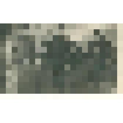 Фотокопия. Группа железнодорожников на ст. Мысовая (кондукторов)