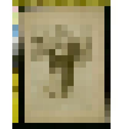 Фотография:М.Л. Толстой с женой А.В. Глебовой в саду Московской усадьбы