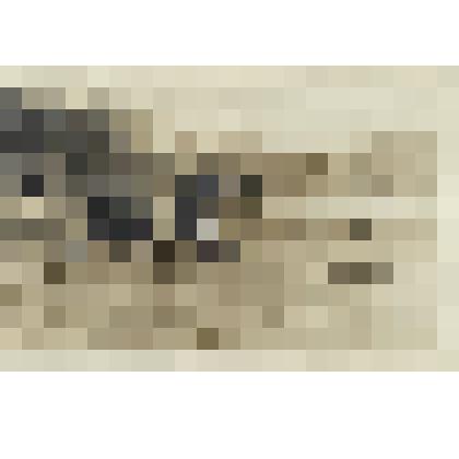 Набор фотографий Голых Константина Семеновича