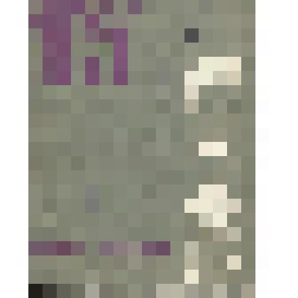 Книга. Сын своего отца. - Иркутск: Восточно-Сибирское книжное изд-во, 1964