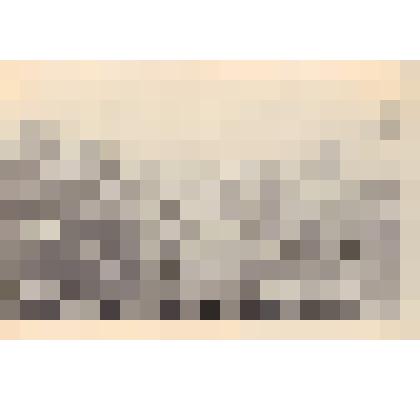 Фото.Почётный караул у могилы Соломатина М.Е