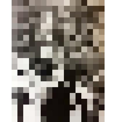 Фото. Явенков Евгений Герасимович (в центре), уроженец д. Зимонино Шумячского района Смоленской области. Герой Советского Союза