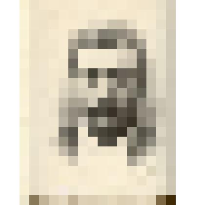 Фотография: Макаренко А.З., бригадир СТФ колхоза "Красный Орден" с.Ново-Ярки Каменского района Алтайского края