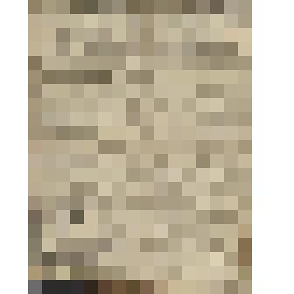 Газета. Русское знамя. № 236 (2 л.;)