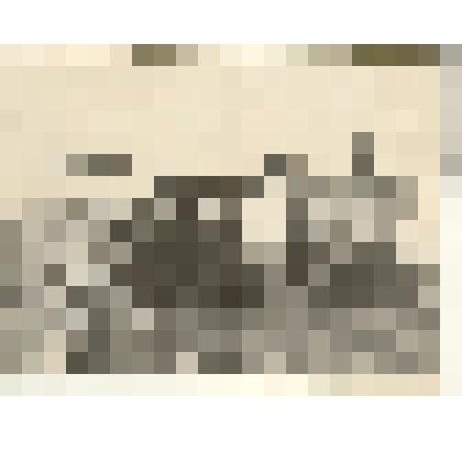 Фотография: уборка кукурузы в Чапаевском отделении совхоза "Октябрь" Каменского района Алтайского края. Тракторист Орехов М.Ф., комбайнер Иванов Л.М