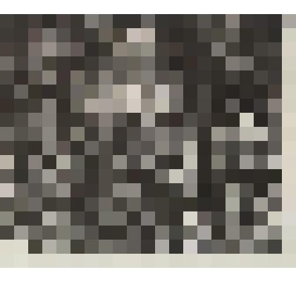 Форзац  к книге А.А. Черкасова "Записки охотника Восточной Сибири"