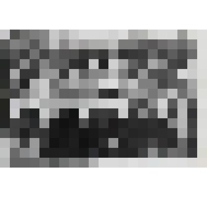 Фотография учащихся и преподавателей Пронской начальной школы у памятника И.В.Мичурину