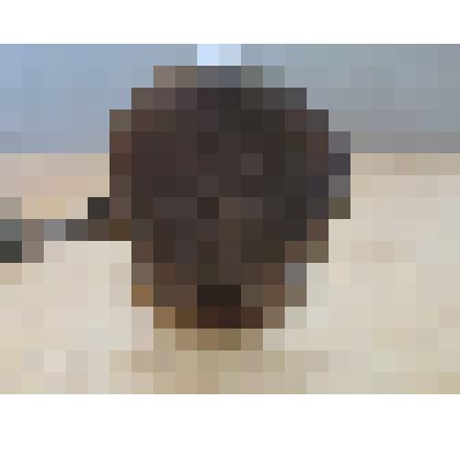 Часы карманные  "JACQUES"