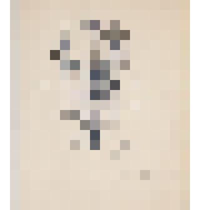 Портрет Липского