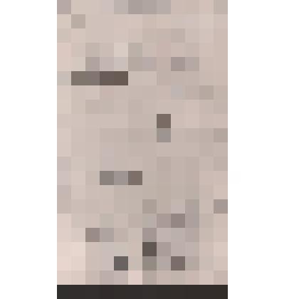 Фотокопия  с автографа стихотворения "Опять народные витии..."