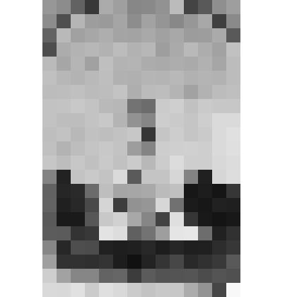 Негатив (пленка). Старый Покровский собор г. Шуя