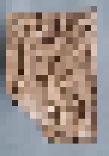 Ню (сидящая). Рельеф