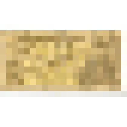 Государственный казначейский билет СССР номиналом 1 рубль, образца 1938 года