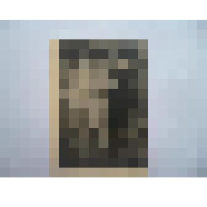 фотография. Бывшие солдаты