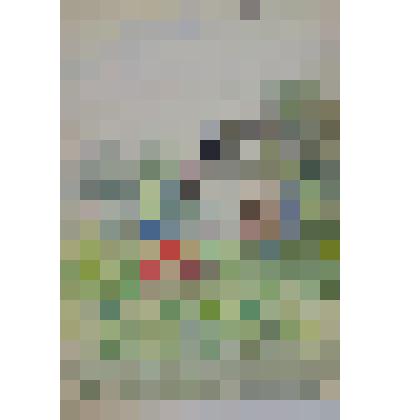 акварель. «Июль», из коллекции акварели