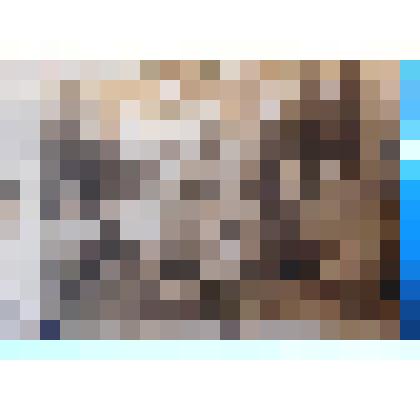 фотография. Группа людей. 18 человек