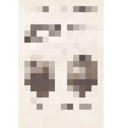 Книга  "Очерки  истории  Камня-на-Оби"