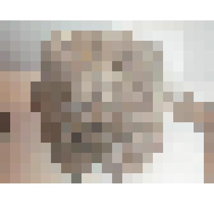 Часть позвоночника