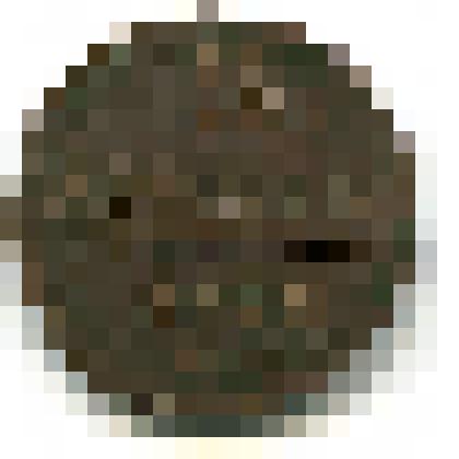 Монета металлическая достоинством 2 копейки, 1798 год