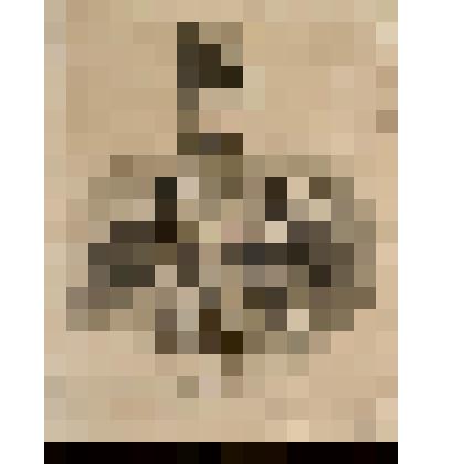 Его величество Наср-Эддин шах персидский