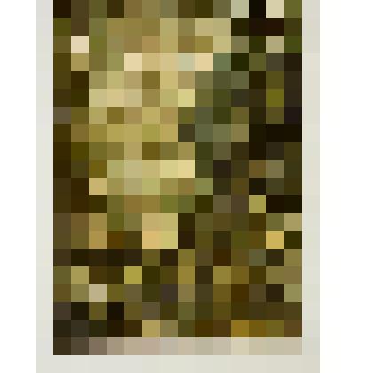 Лесная речка