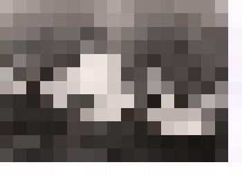 Негатив. Теплоход "Барабинск" Северного морского пароходства. Из комплекта фотонегативов (дублей) с фотографий из фотоальбома к 100-летию Северного морского пароходства (Москва, 1960-1970-е годы)