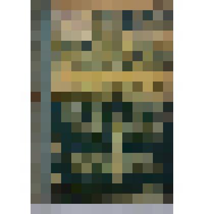 Книга. Выращивание телят на племя и на мясо. Типография П.П.Сойкина