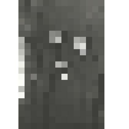 Фотография "Награждение Г.И. Байгушеву"