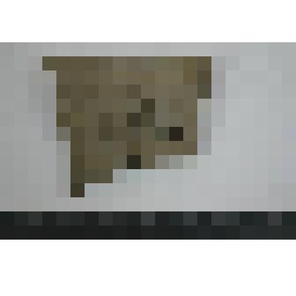 Сосуд. Фрагмент