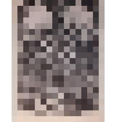 Exlibris Riva Neta. Riga. Jupatov