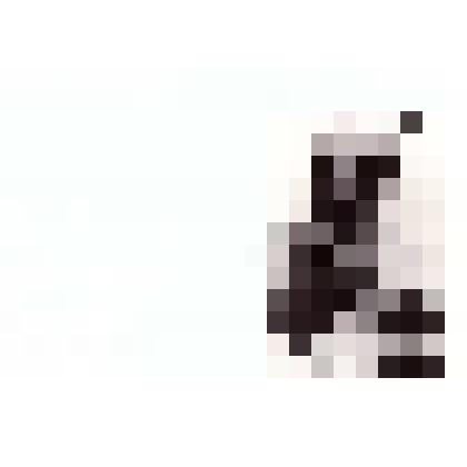 Фото сюжетное