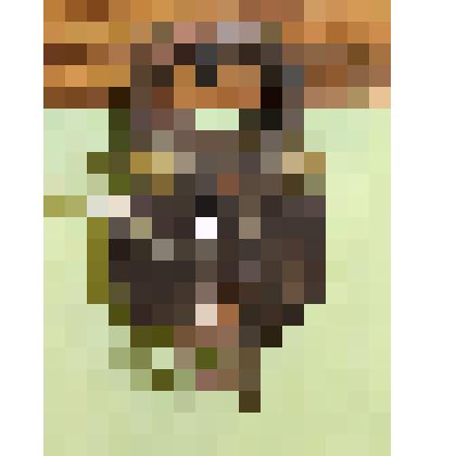 Замок навесной