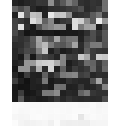 Фотография. Коммунисты Кубани на 26 съезде КПСС. На фото заседание съезда в зале съездов. г.  Москва