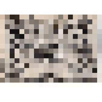 Ф/к-ж/чб. Энгельсское военно-техническое училище (ЭВЗРКУ). Выпуск 1962 г. Начальник - генерал-майор Смилевец Д.Г