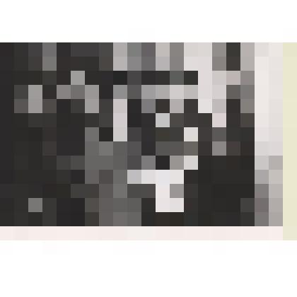 Фотография сюжетная " Кривенко Н А разрезает ленточку "