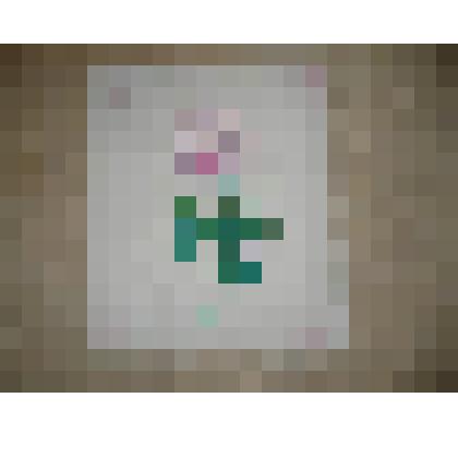 Вышивка "Розы"