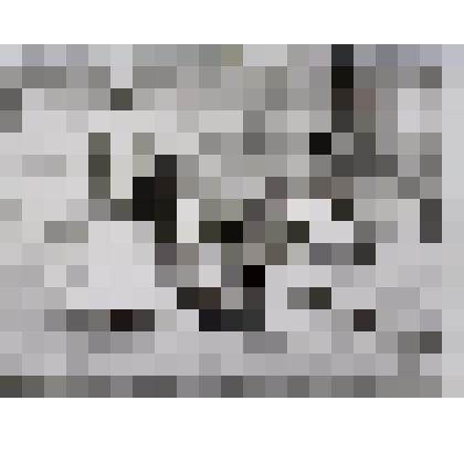 Фото. Возложение цветов на могилу Акимова И.Д