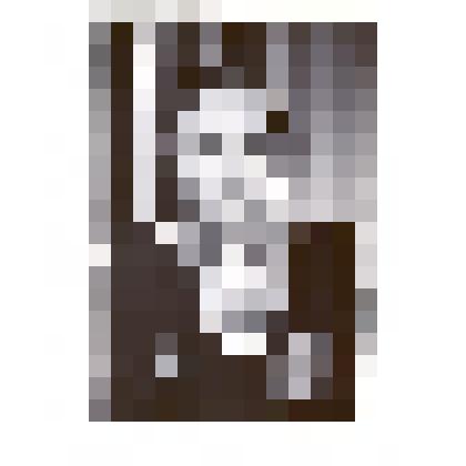 Фотография: Никифорова Надежда Александровна, участница Великой Отечественной войны