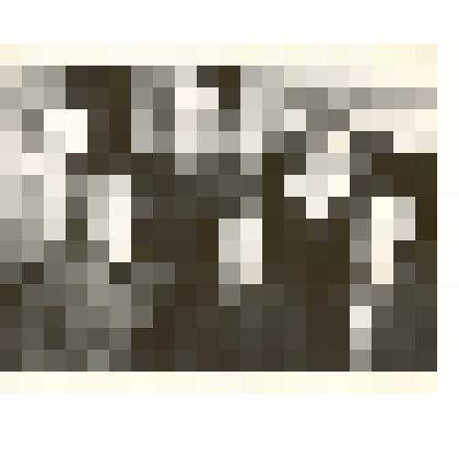 Фотография: бригада дояров Павловского отделения совхоза "Октябрь" Каменского района Алтайского края