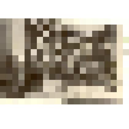 Фотография: члены Каменского УКОМА ВЛКСМ. Копия