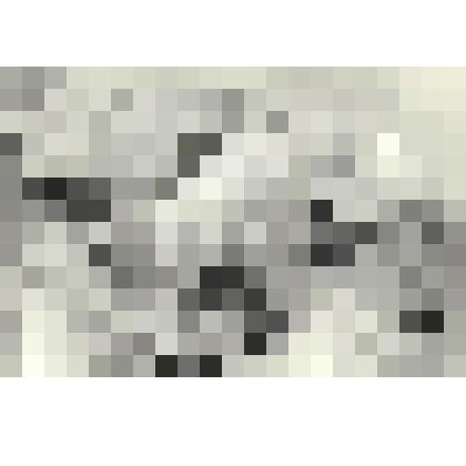 Фотографии. Фото ч/б. Третье терапевтическое отделение Хакасской областной больницы. Старшие медсестры Абраменко и Золотухина у уголка по технике безопасности