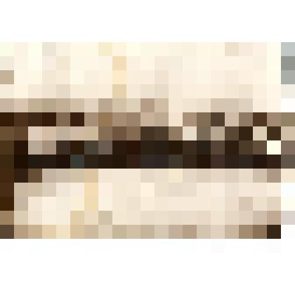 Групповой снимок. День полкового праздника Якутского городского Казачьего пешего полка. 16/VIII-1912г