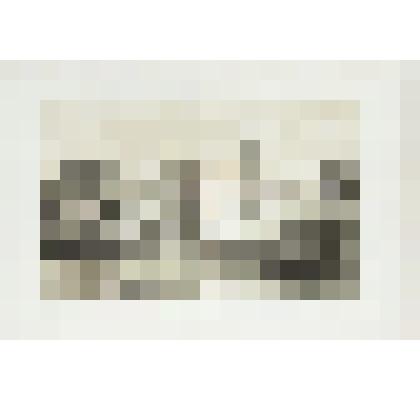 Литография. "Санкт-Петербург. Дворец Павла I со стороны Летнего сада."