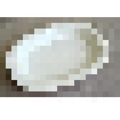 Блюдо для заливного