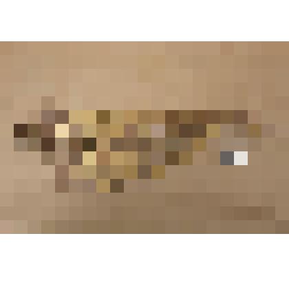 Рама (навершие)