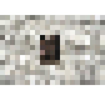 Значок квадратный: на чёрном фоне серым рельефное изображение портрета Ленина в кепке