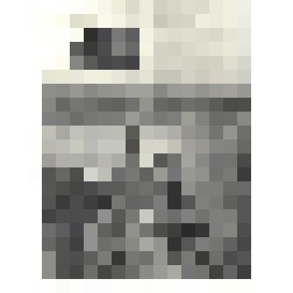 Фотографии. Фото ч/б. Советское знамя на сопке Заозерной у озера Хасан. 1938 г